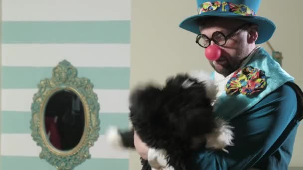 Illusionniste montre le numéro d'un tour avec un chien 4k — Video