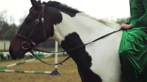 Μια γυναίκα σε ένα πράσινο κοστούμι είναι ιππασίας ένα άλογο 4k — Αρχείο Βίντεο