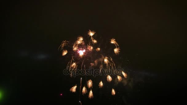 Belo show de fogos de artifício no céu noturno — Vídeo de Stock