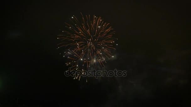 Hermoso espectáculo de fuegos artificiales en el cielo nocturno — Vídeos de Stock