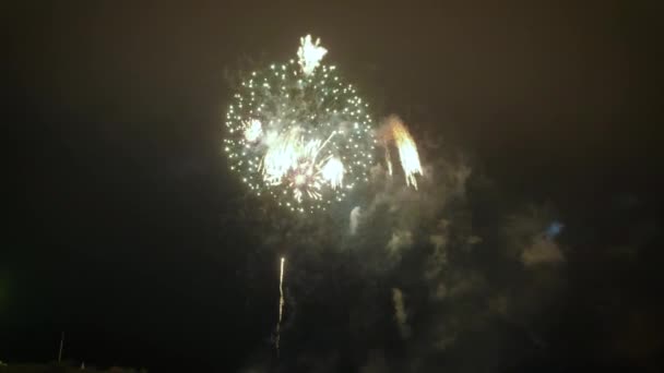 Hermoso espectáculo de fuegos artificiales en el cielo nocturno — Vídeos de Stock