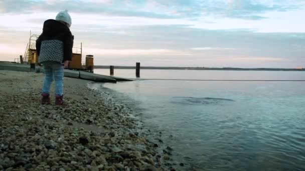 Дочка і мати кидають каміння в море — стокове відео