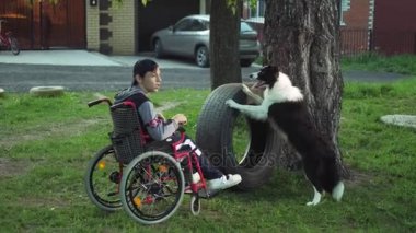 Anne oğlu ile bir köpek tekerlekli sandalye ile yürüyor