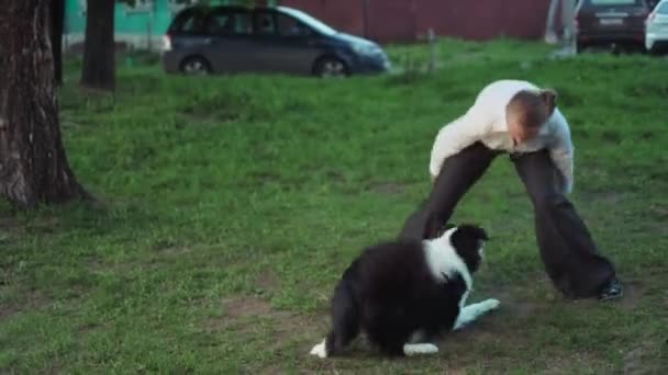 Perro salta de las mujeres hacia atrás y captura frisbee, cámara lenta — Vídeos de Stock