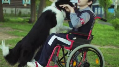 Adam tekerlekli sandalyede bir köpek, canitis tedavisi, sakatlık tedavi ile bir köpek eğitim yoluyla özürlü kişi oynuyor