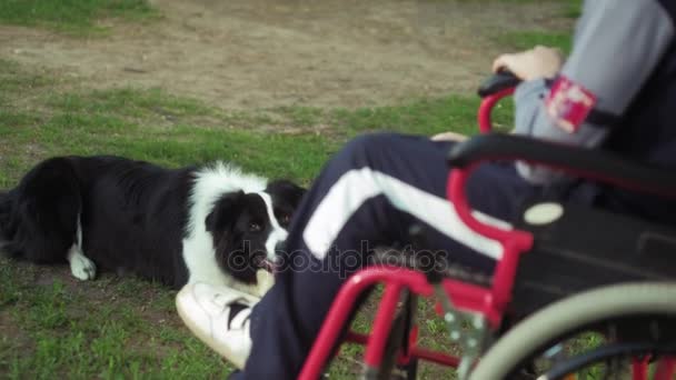 Eine behinderte Person spielt mit Hund, Canitis Therapie, Behinderung