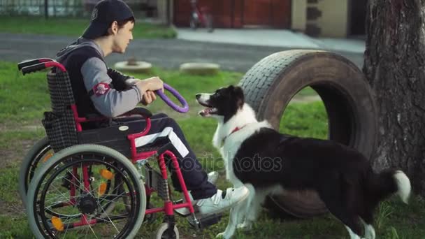 Una persona con discapacidad juega con un perro, terapia de canitis, tratamiento de discapacidad a través del entrenamiento con un perro, Hombre en silla de ruedas — Vídeos de Stock