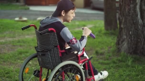 Une personne handicapée joue avec un chien, thérapie de canite, traitement du handicap par l'entraînement avec un chien, Homme en fauteuil roulant — Video