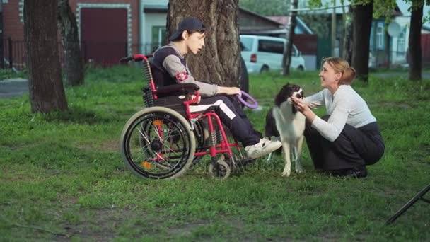 Mamma går med sin son i en rullstol med en hund — Stockvideo
