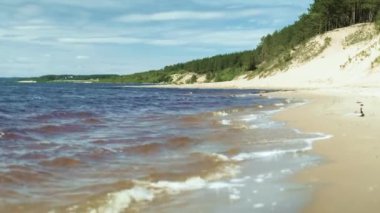 Tidewash döngü. Deniz kumlu kıyı kadar yıkar gelgit ve dışarı tekrar. Döngü-güçlü bir klip. 4k