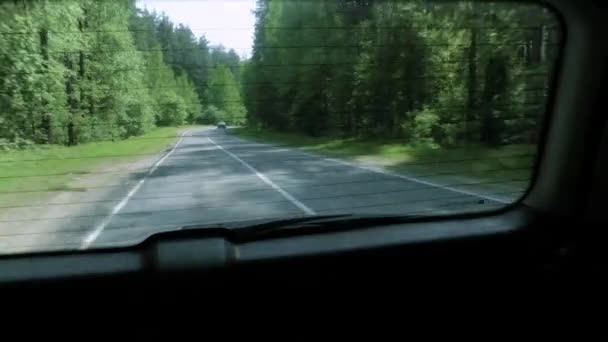 Вождение автомобиля на лесной дороге, вид снаружи 4k — стоковое видео