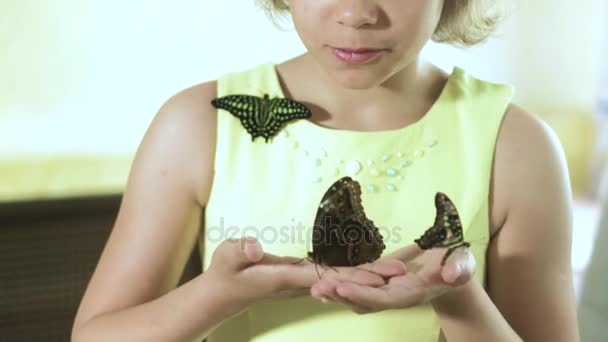 Девушка держит бабочку в руках 4k — стоковое видео