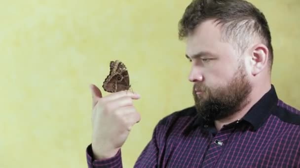 A man with a beard holds a butterfly 4k — Stock Video