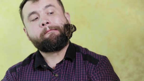 Un hombre con barba sostiene una mariposa 4k — Vídeo de stock