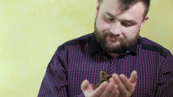 Человек с бородой держит бабочку 4k — стоковое видео