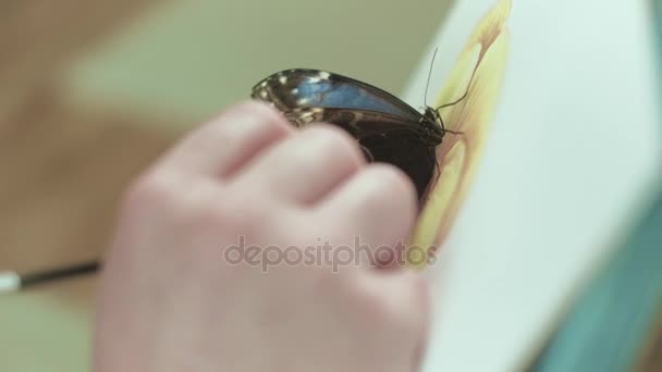 Artista masculino em um cavalete desenha uma flor ao lado de uma borboleta senta 4k — Vídeo de Stock