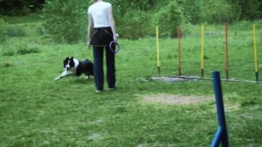 Ağır çekim rekabet, hayvan çeviklik yarış ile çalışan ve slalom yaptığını köpek yarış ile sıra. Yavaş hareket ile sıra