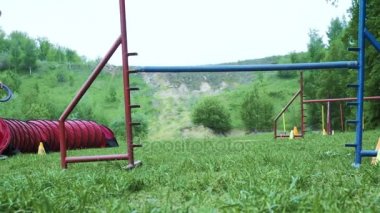 Ağır çekim rekabet, hayvan çeviklik yarış ile çalışan ve slalom yaptığını köpek yarış ile sıra. Yavaş hareket ile sıra