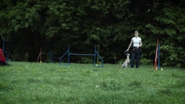 Ağır çekim rekabet, hayvan çeviklik yarış ile çalışan ve slalom yaptığını köpek yarış ile sıra. Yavaş hareket ile sıra