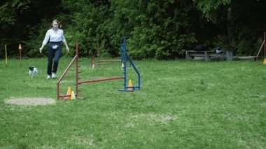 Ağır çekim rekabet, hayvan çeviklik yarış ile çalışan ve slalom yaptığını köpek yarış ile sıra. Yavaş hareket ile sıra