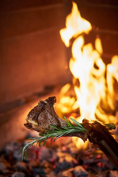 Barbekü sığır eti kebaplar üzerinde sıcak bir ızgara jpg