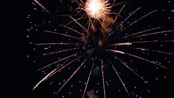 Beautiful fireworks show in the night sky — Stock Video