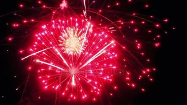 gece gökyüzünde güzel havai fişek gösterisi