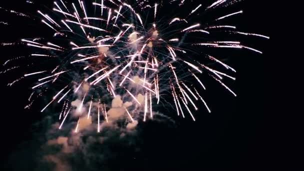 Schönes Feuerwerk am Nachthimmel — Stockvideo