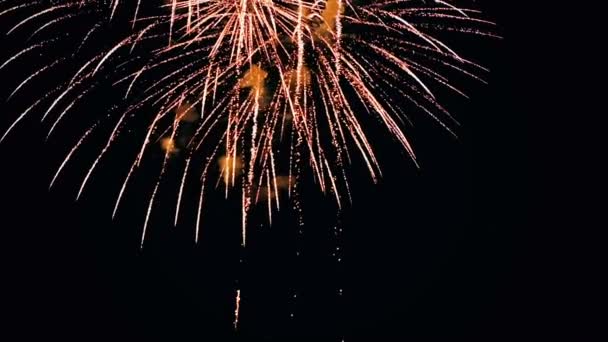 Hermoso espectáculo de fuegos artificiales en el cielo nocturno — Vídeos de Stock