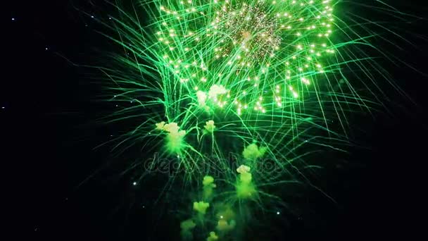 Hermoso espectáculo de fuegos artificiales en el cielo nocturno — Vídeo de stock