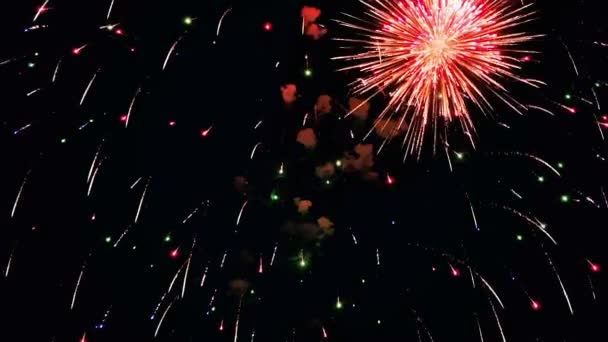 Hermoso espectáculo de fuegos artificiales en el cielo nocturno — Vídeo de stock