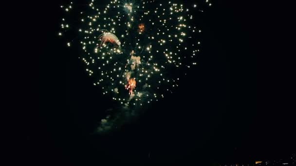 Belo show de fogos de artifício no céu noturno — Vídeo de Stock