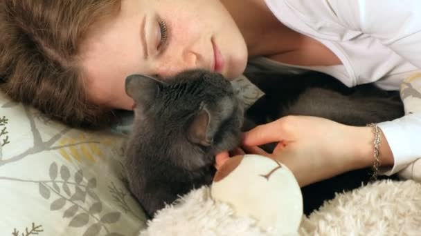 Hand van een oudere vrouw strelen grijze kat slapen op het bed — Stockvideo