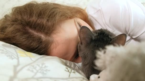 Рука літньої жінки, яка погладжує сірого кота, спить на ліжку — стокове відео