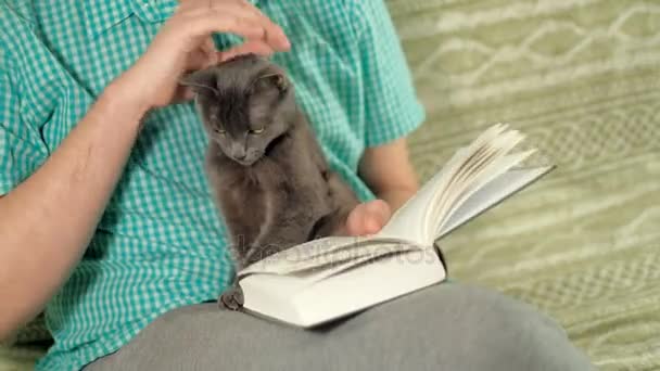 Hombre leyendo libro en el sofá en casa — Vídeo de stock