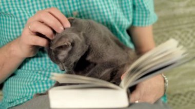 adam evde kanepede kitap okuma