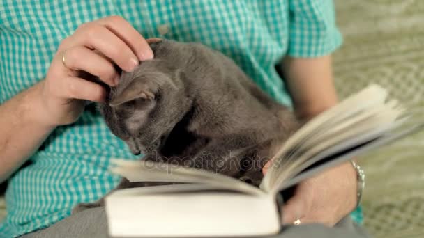 Man reading book on the sofa at home — Stock Video