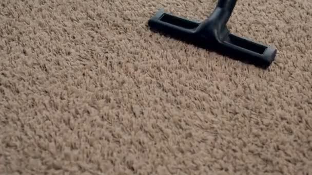 Die alte Frau staubsaugt das Wohnzimmer, putzt zu Hause — Stockvideo