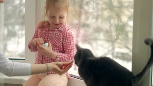 Uma menina está alimentando um gato sentado à janela — Vídeo de Stock