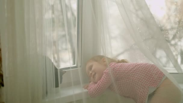 小さな女の子が窓際に座っている猫に餌 — ストック動画