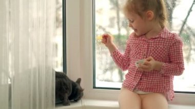 küçük bir kız cam kenarında oturan bir kedi besleme