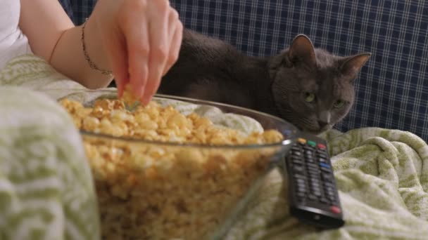 Glückliche liebende Familie. Mutter und Tochter essen Popcorn auf dem Bett im Zimmer. vor dem Fernseher — Stockvideo