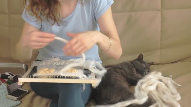 Eine Frau webt auf einem Webstuhl eine schöne Stickerei aus Garn, in einem heimischen Atelier ist die Katze in der Nähe — Stockvideo