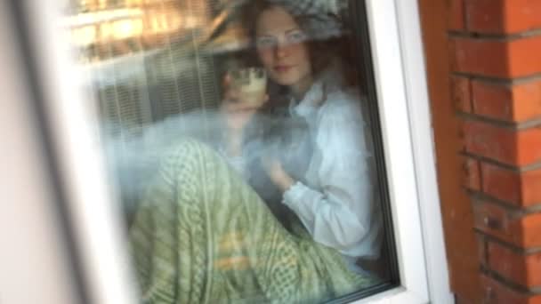 Girl in a warm blanket, drinking coffee with a cat on the windowsill. — Stock Video