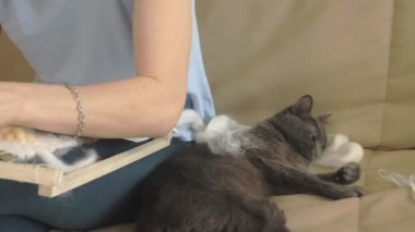 Bir kadın bir tezgah üzerinde güzel bir nakış iplikleri, eve bir stüdyoda yapılan örgüleri, kedi yakındır