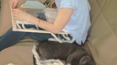 Bir kadın bir tezgah üzerinde güzel bir nakış iplikleri, eve bir stüdyoda yapılan örgüleri, kedi yakındır
