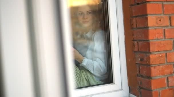 Porträt einer freundlichen Dame, die auf einem Fensterbrett sitzt und Katze mit großer Süße hält. sie schaut und lächelt — Stockvideo