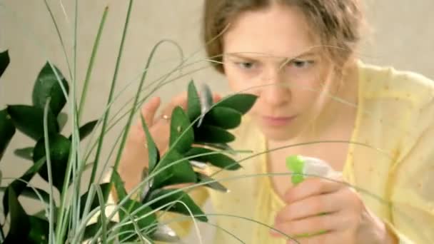 Mujeres pulverización a mano planta verde — Vídeos de Stock