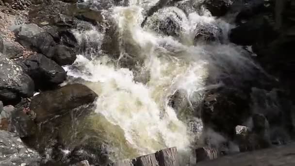 Raging Mountain River. Wildness of clean, clear water in the mountain river . — Vídeo de stock