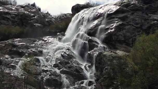 Tomboló hegyi folyó. Vadság, a tiszta, tiszta víz, a hegyi folyó. — Stock videók